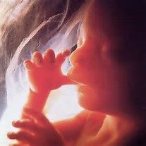 A Baby's Heart-Wrenching Scream A Baby's Heart-Wrenching Scream