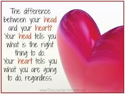 HEAD OR HEART !?X HEAD OR HEART !?X