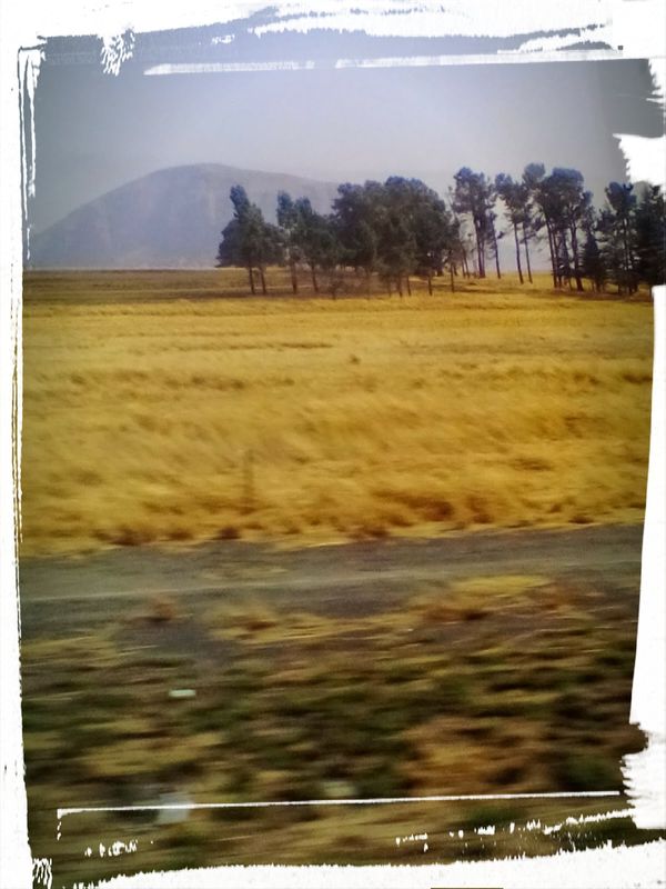 warm Africa :-) Gods work.