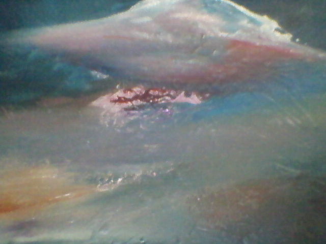 Feel