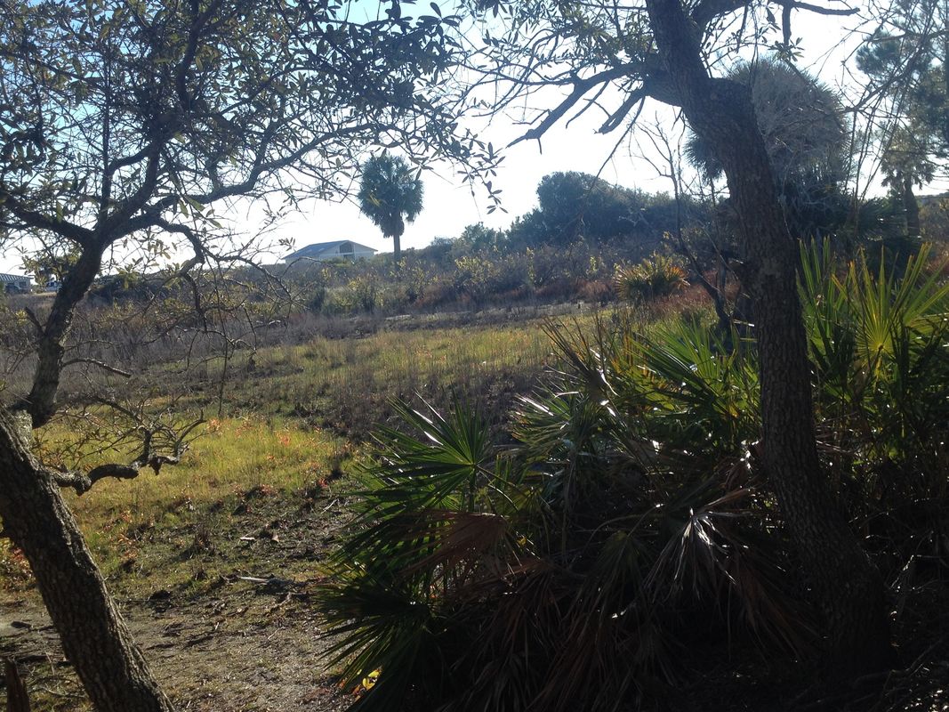 Become Somehow Become Somehow