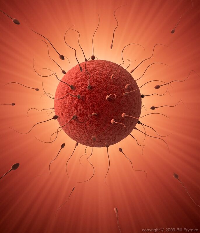 UPON CONCEPTION... UPON CONCEPTION...