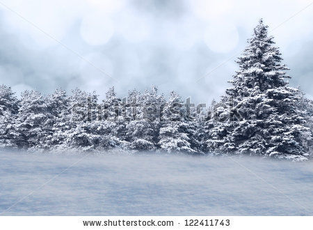 A Winters Night