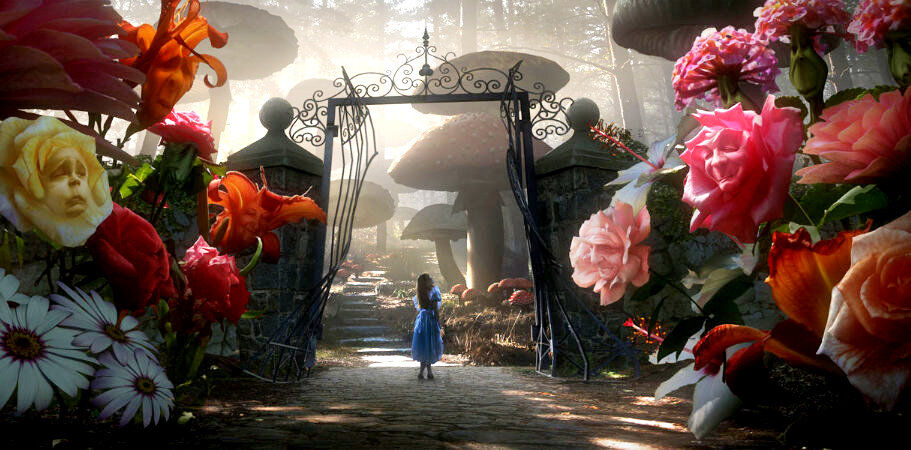 " IN WONDER-LAND !"?X " IN WONDER-LAND !"?X