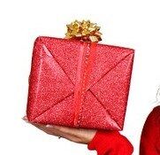 Please Santa?