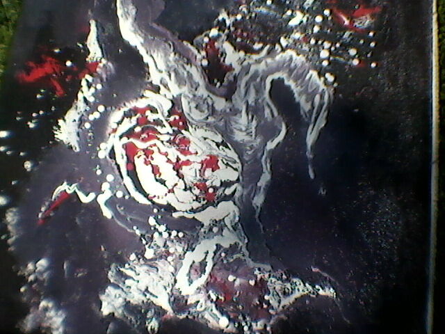 &quot;DRAGON&quot;
