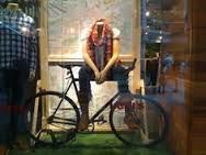 Window Bike