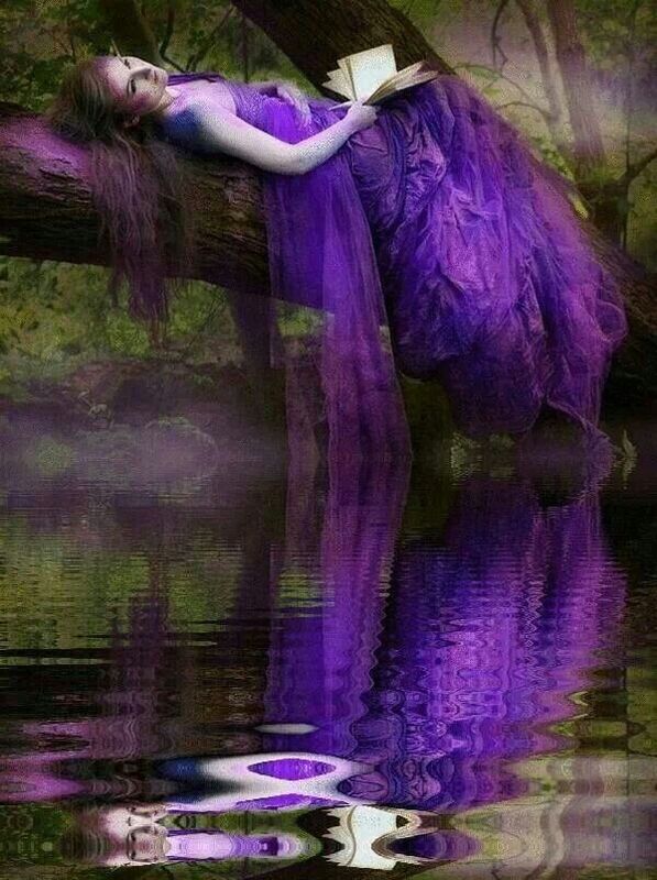 Purple Dreams