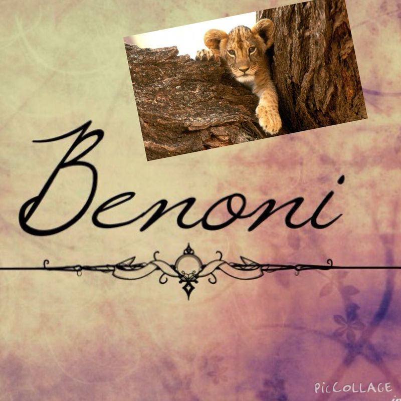 BENONI BENONI