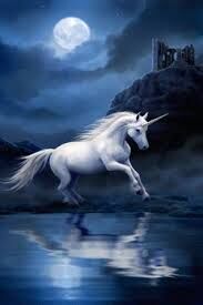 " BLUE MOONLIGHT " " BLUE MOONLIGHT "