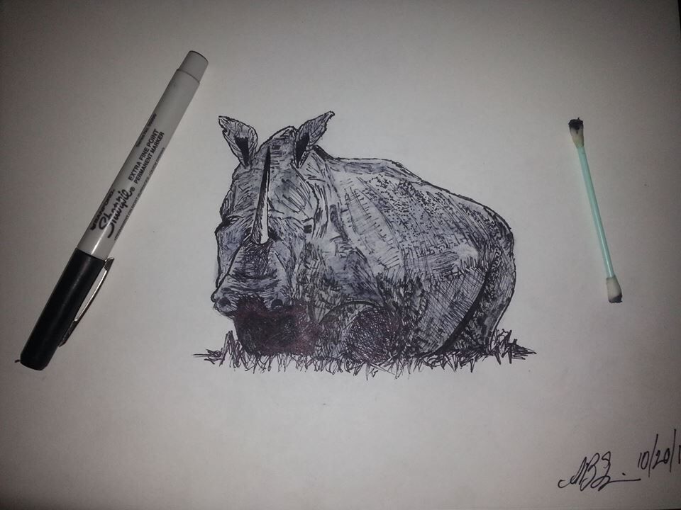 great white rhino