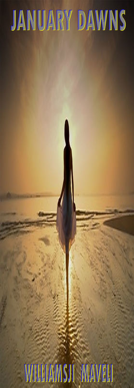 JANUARY DAWNS: DAY 18, WILLIAMSJI MAVELI WRITES, BOLD LIKE DAWN JANUARY DAWNS: DAY 18, WILLIAMSJI MAVELI WRITES, BOLD LIKE DAWN