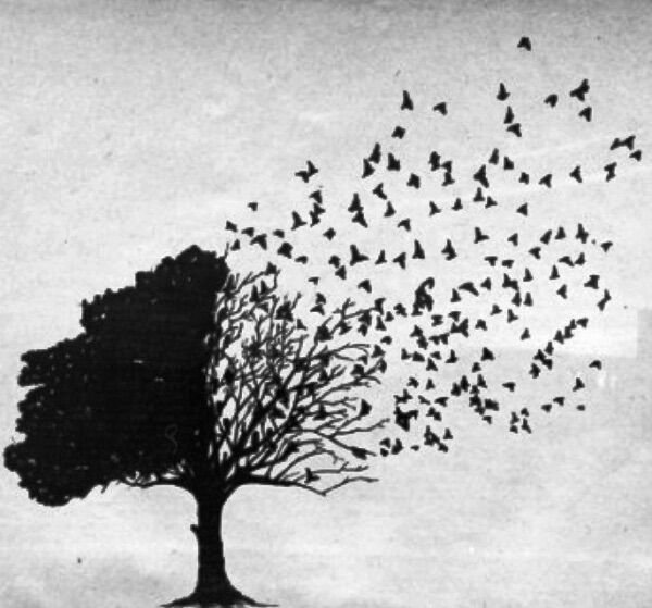 Until We Meet Again Until We Meet Again