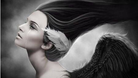 Black wings Black wings