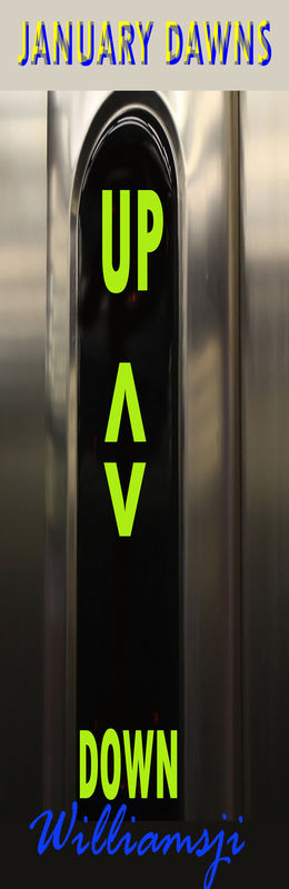 JANUARY DAWNS: DAY 26, WILLIAMSJI MAVELI WRITES, AN ELEVATOR... JANUARY DAWNS: DAY 26, WILLIAMSJI MAVELI WRITES, AN ELEVATOR...