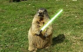 "GROUNDHOG'S DAY" ...!!! "GROUNDHOG'S DAY" ...!!!