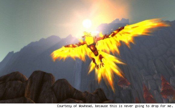 The Fire Hawk The Fire Hawk