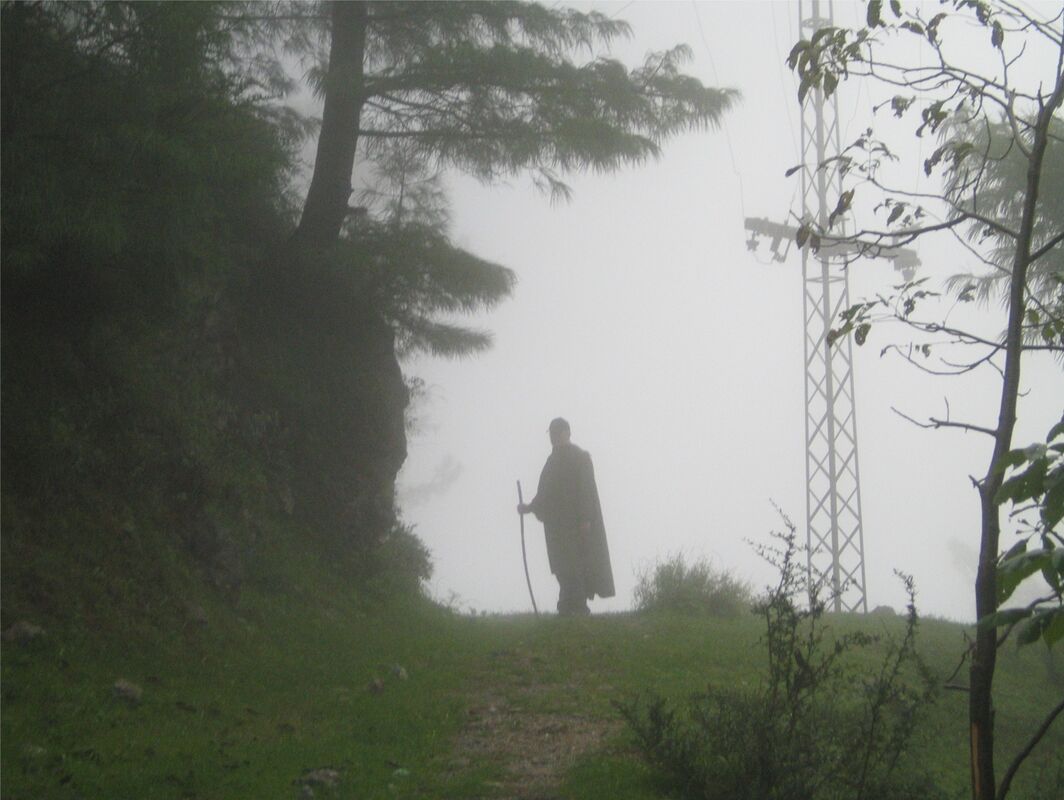 Foggy Early Morning Rain