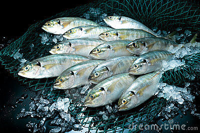 GOD AND I FISHED GOD AND I FISHED