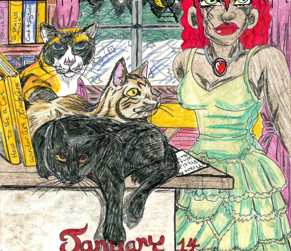 crazy cat lady crazy cat lady