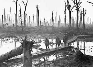 From the Trenches From the Trenches