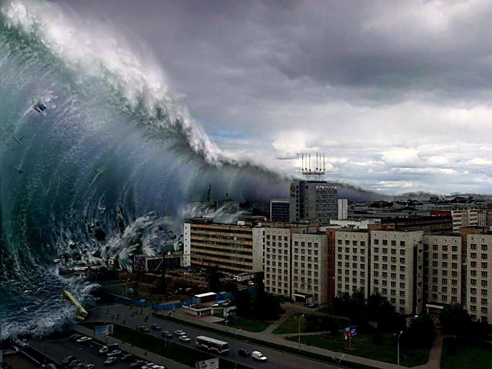 TSUNAMI TSUNAMI