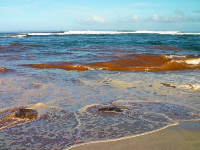 Tides of Loneliness