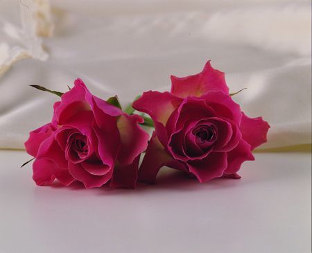 HEARTS JOINED TOGETHER BY GODS OWN HAND