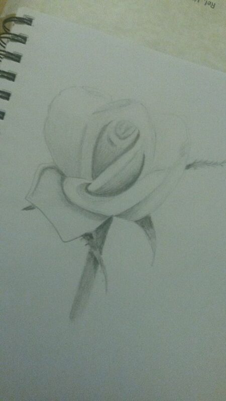 Single Rose