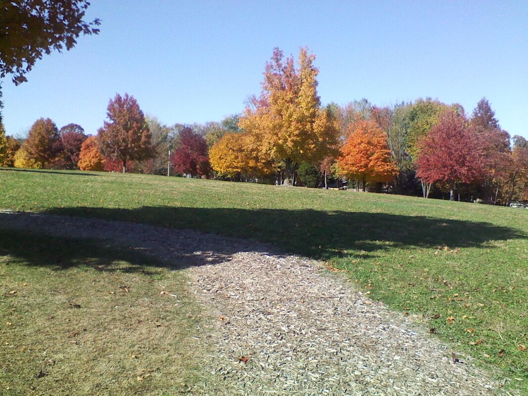 AUTUMN LEAVES AUTUMN LEAVES