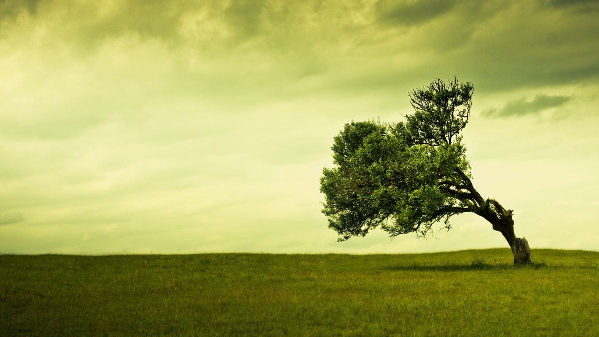 As Seasons Change... As Seasons Change...