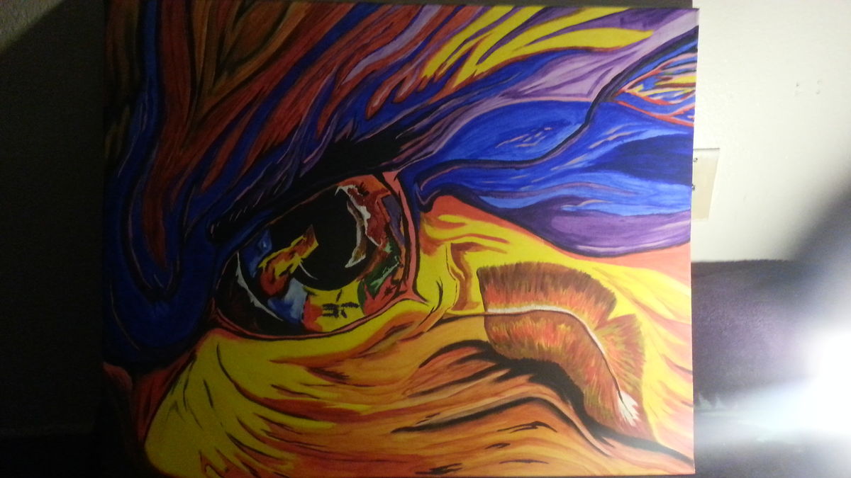 the colors the eye creates the colors the eye creates