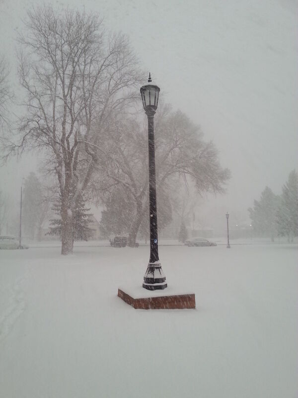 winters still beauty