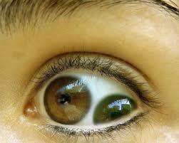 They Are Always Watching They Are Always Watching