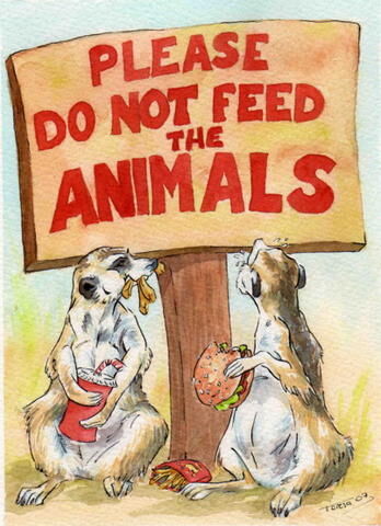 Please Don't Feed The Animal Please Don't Feed The Animal