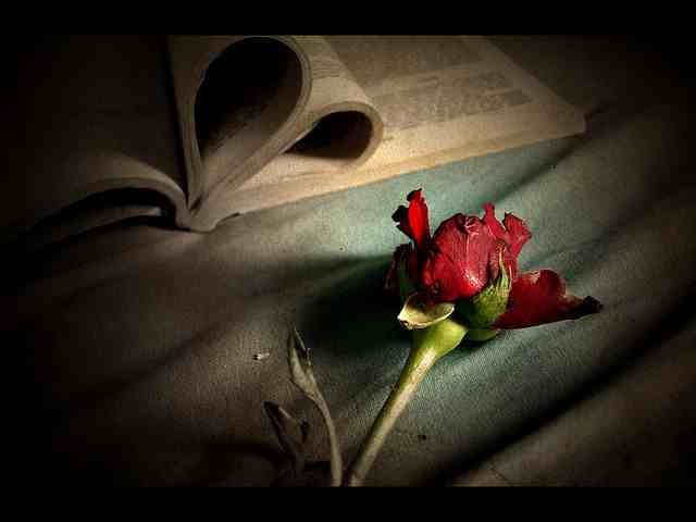 Untold Love Story - Chapter 1