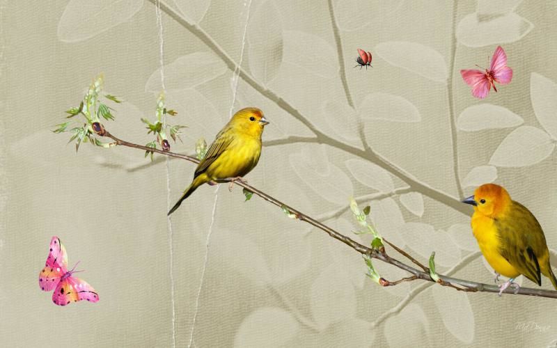 Birth of Spring