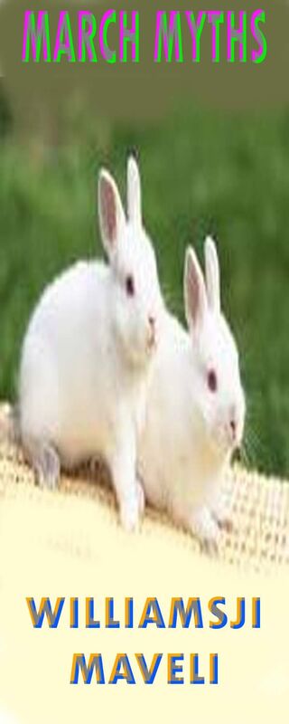 MARCH MYTHS: DAY 30, WILLIAMSJI MAVELI WRITES, WHITE RABBITS MARCH MYTHS: DAY 30, WILLIAMSJI MAVELI WRITES, WHITE RABBITS