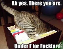 " THE FUN FILE "!?X " THE FUN FILE "!?X