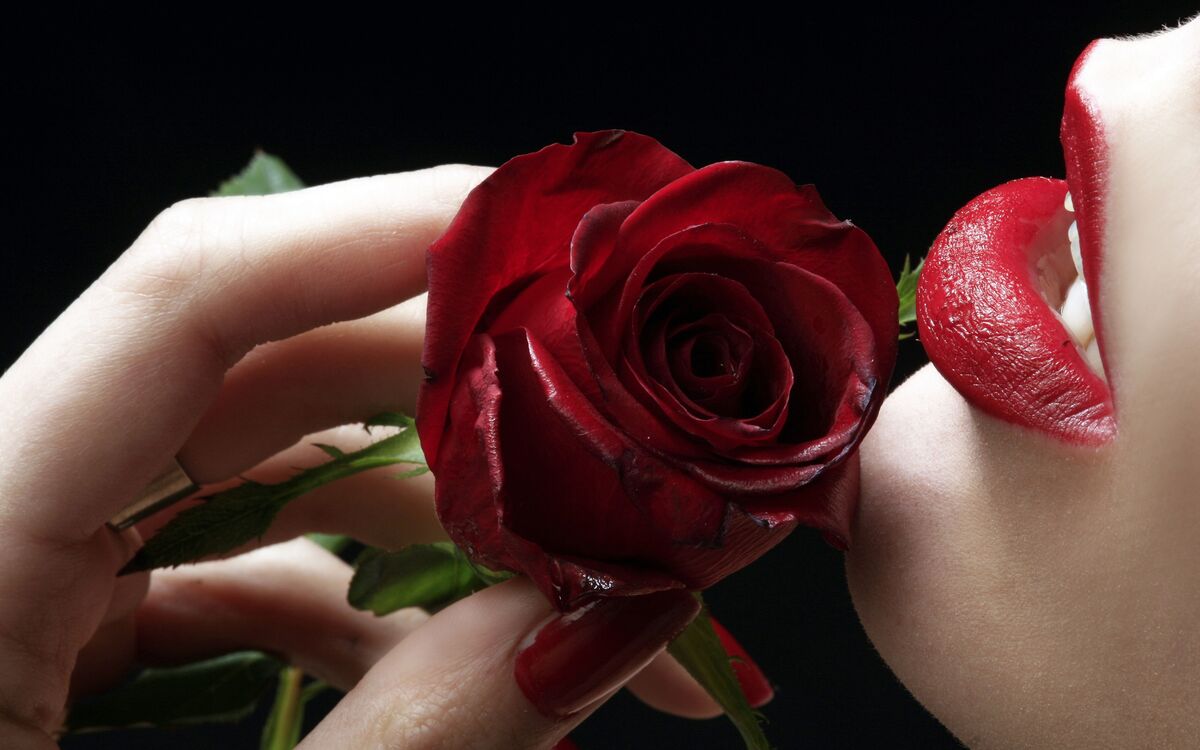 DYING WITHOUT YOUR LOVE DYING WITHOUT YOUR LOVE