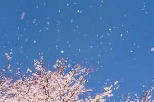 When I think of spring When I think of spring