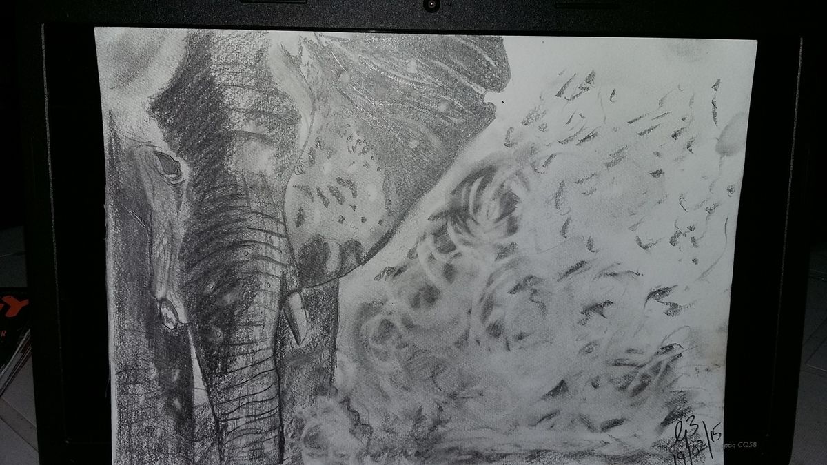 Elephant in the dust