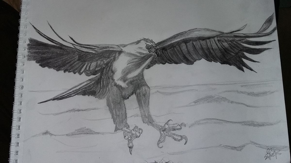 Eagle hunting