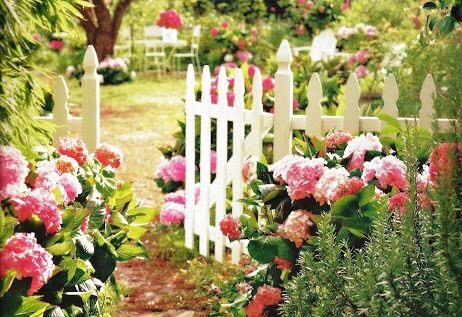 White picket fence 