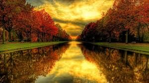 Nature is beautiful Nature is beautiful