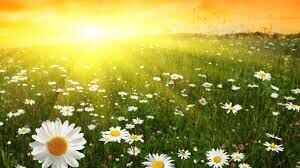 SUN BY DAY