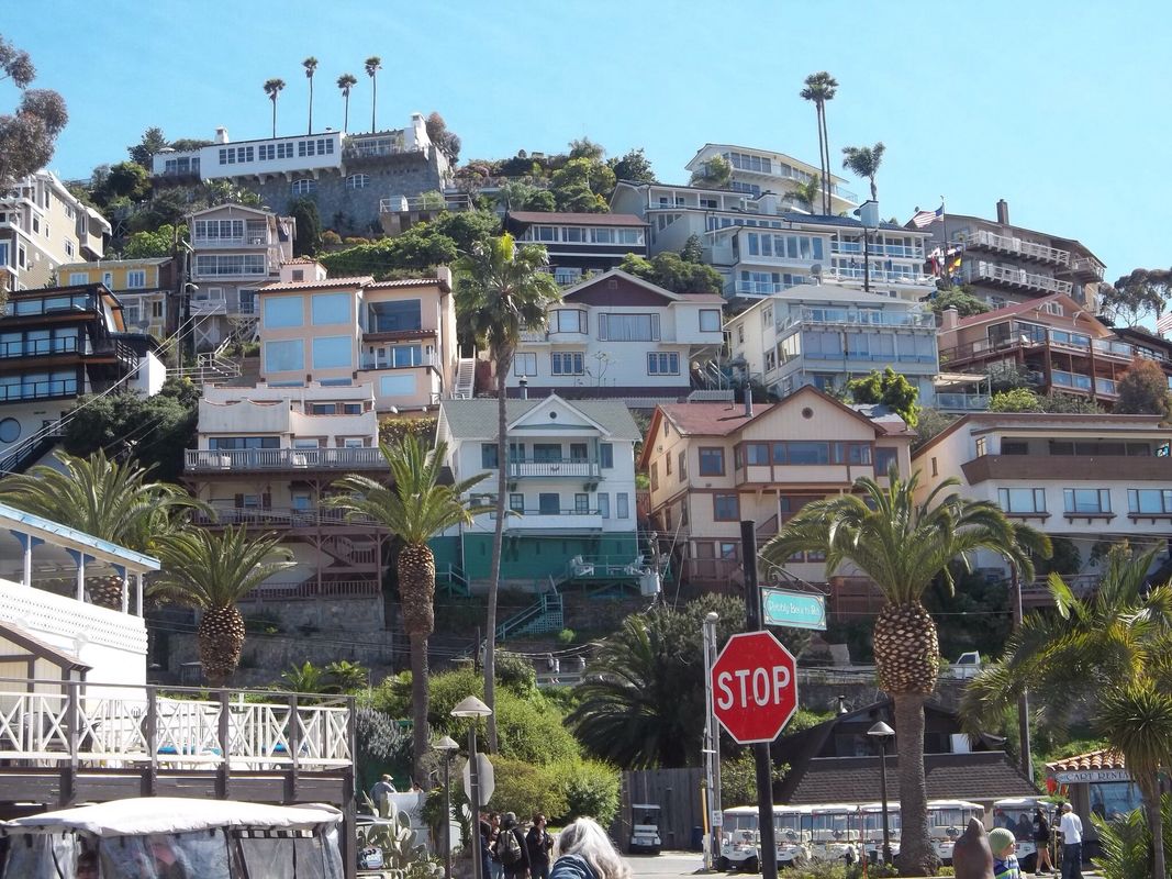 ~Life in Avalon.. Catalina Island~