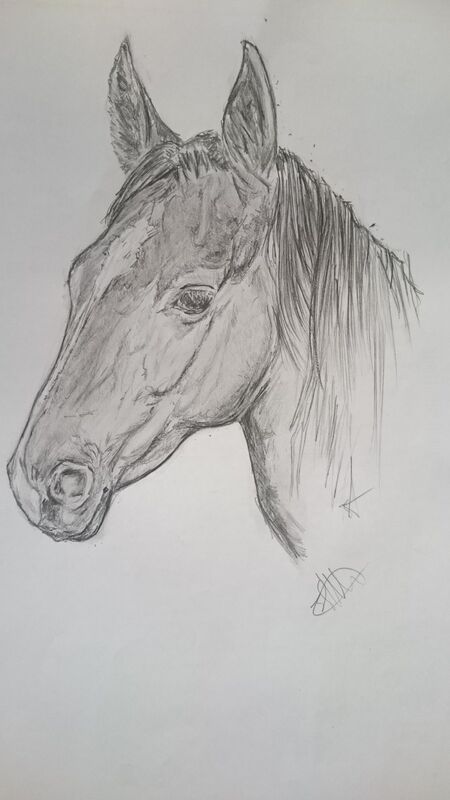 Horse 2