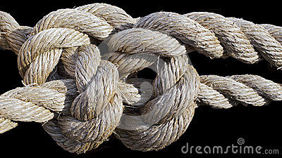 De Weave The Day