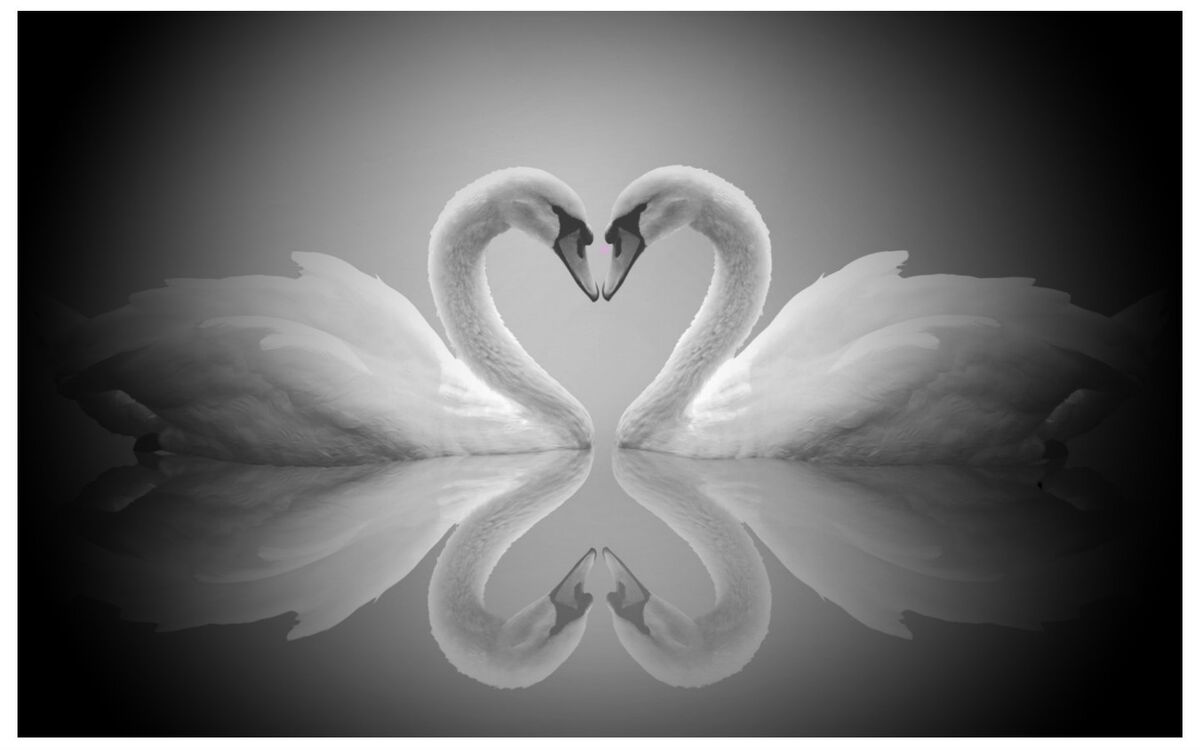 My Love For You My Love For You